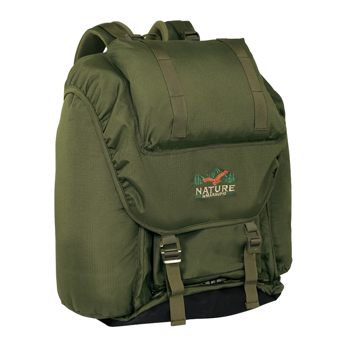 FOREST-70-PF-3