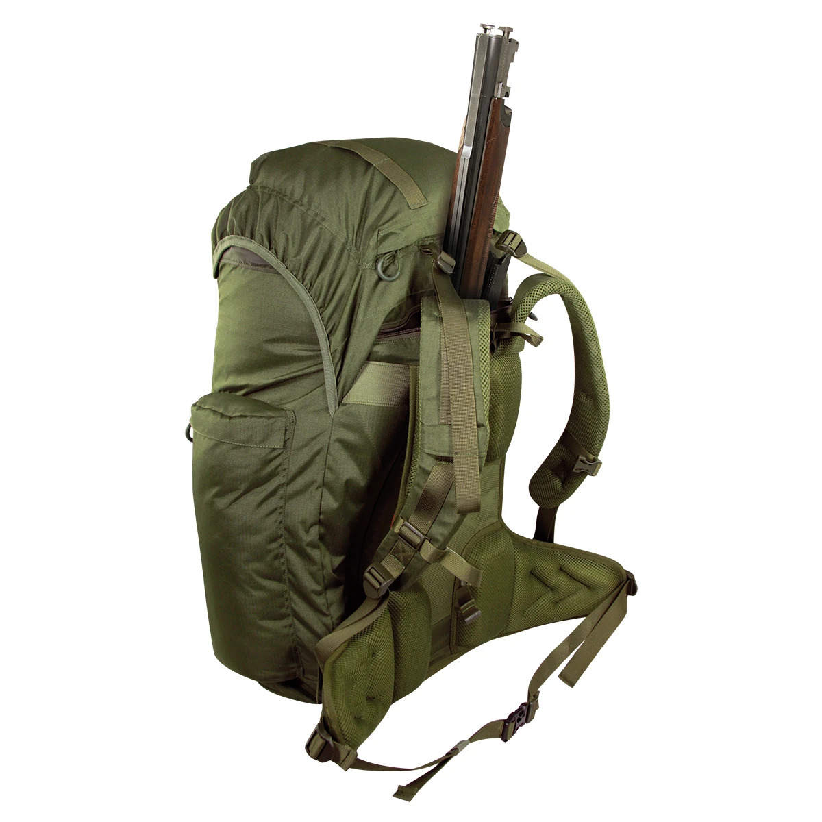 FOREST-70-PF-4